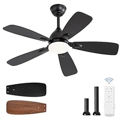 Lediary ceiling fans for sale  Delivered anywhere in USA 