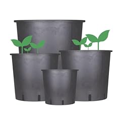 Weedness vaso fiori usato  Spedito ovunque in Italia 
