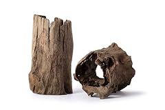 Galapagos hollow log for sale  Delivered anywhere in USA 