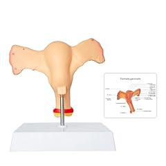 Sfxyj human female for sale  Delivered anywhere in USA 