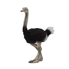 Collecta ostrich for sale  Delivered anywhere in UK