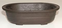 Oval mica bonsai for sale  Delivered anywhere in UK