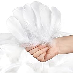 600 pcs feathers for sale  Delivered anywhere in USA 