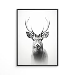 Graphics natur poster gebraucht kaufen  Wird an jeden Ort in Deutschland