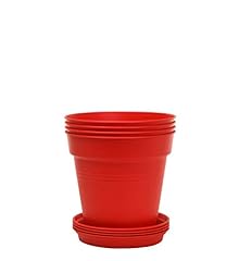 Mintra home garden for sale  Delivered anywhere in USA 