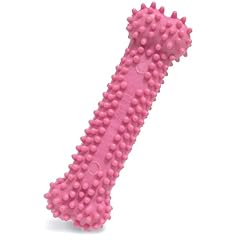 Nylabone textured teething for sale  Delivered anywhere in USA 
