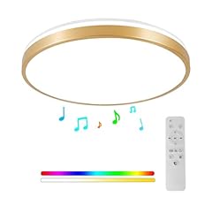 Horevo bathroom ceiling for sale  Delivered anywhere in USA 