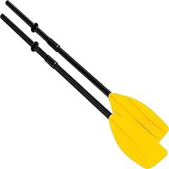 Bestway 917864 coppia usato  Spedito ovunque in Italia 