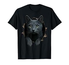 Russian blue cat for sale  Delivered anywhere in USA 