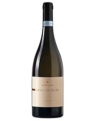 Sicilia sauvignon blanc usato  Spedito ovunque in Italia 