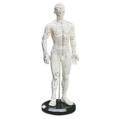 Akupunktur modell mann gebraucht kaufen  Wird an jeden Ort in Deutschland