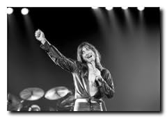 Steve perry poster for sale  Delivered anywhere in USA 