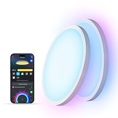 Govee smart ceiling for sale  Delivered anywhere in USA 