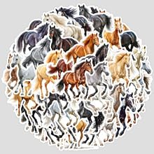 50stück aquarell pferd gebraucht kaufen  Wird an jeden Ort in Deutschland