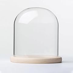 Cloche verre socle d'occasion  Livré partout en France