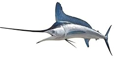 Inch white marlin for sale  Delivered anywhere in USA 