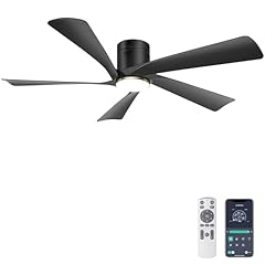Ohniyou low ceiling for sale  Delivered anywhere in USA 
