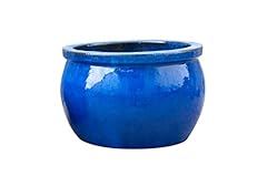 Vaso per piante usato  Spedito ovunque in Italia 