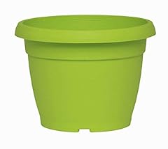 Vaso tondo satinato usato  Spedito ovunque in Italia 