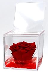 Rosa vera rossa usato  Spedito ovunque in Italia 