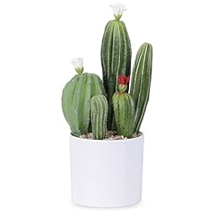 Honhdonzjp artificial cactus for sale  Delivered anywhere in USA 
