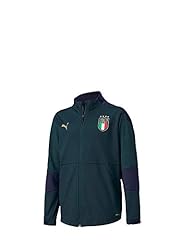 PUMA FIGC Training Jacket W.z/P Jr Ponderosa Gilet, Verde, 164 cm Unisex-Bambini usato  Spedito ovunque in Italia 