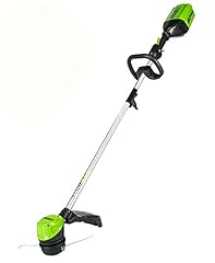Greenworks pro volt for sale  Delivered anywhere in USA 