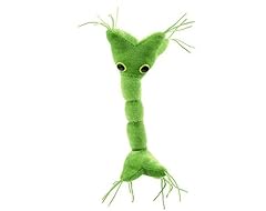 Giantmicrobes nerve cell for sale  Delivered anywhere in USA 