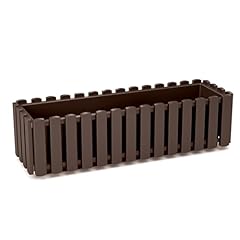 Window box flower for sale  Delivered anywhere in UK