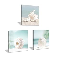Hardy gallery seashells for sale  Delivered anywhere in USA 