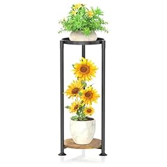 Kmotasuo tier plant for sale  Delivered anywhere in USA 