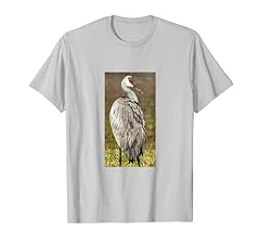 Sandhill crane for sale  Delivered anywhere in USA 