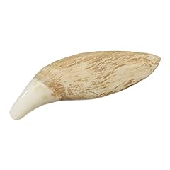 Grizzly bear tooth for sale  Delivered anywhere in USA 