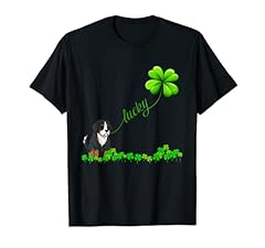 Irish lucky bernese for sale  Delivered anywhere in USA 