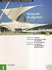 Manuale algebra. per usato  Spedito ovunque in Italia 