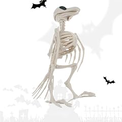 Fainfun squelette oiseau d'occasion  Livré partout en France