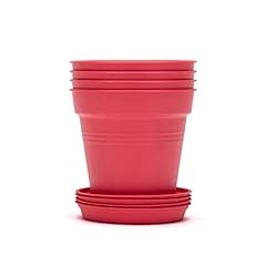 Mintra home garden for sale  Delivered anywhere in USA 