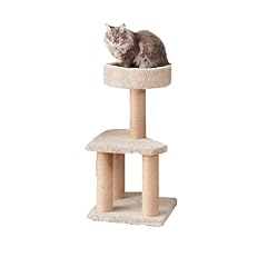 Amazon basics cat for sale  Delivered anywhere in USA 