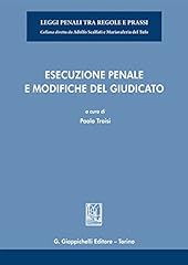 Esecuzione penale modifiche usato  Spedito ovunque in Italia 
