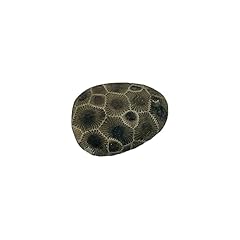 Petoskey stone rock for sale  Delivered anywhere in USA 
