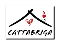 Cattabriga aimant nom d'occasion  Livré partout en France