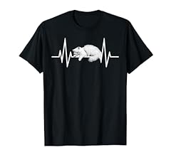 Chat persan heartbeat d'occasion  Livré partout en France