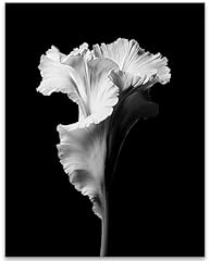 Black white flower for sale  Delivered anywhere in USA 