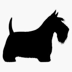 Magnet scottish terrier for sale  Delivered anywhere in USA 