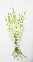 Bunch fresh dendrobium for sale  Delivered anywhere in USA 