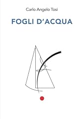 Fogli acqua usato  Spedito ovunque in Italia 
