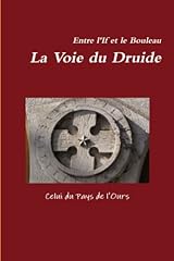 Bouleau. druide d'occasion  Livré partout en France
