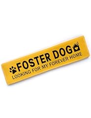 Cgvovgr yellow foster for sale  Delivered anywhere in USA 