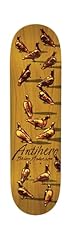 Anti hero skateboards for sale  Delivered anywhere in USA 