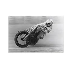 Nicky hayden professional for sale  Delivered anywhere in USA 